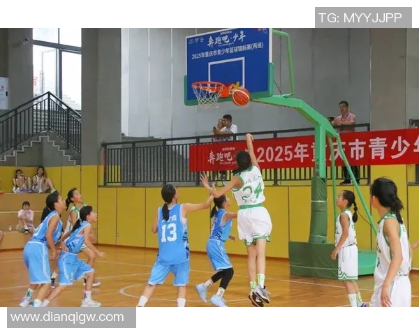 重庆篮球队在全国锦标赛积分榜上以74分稳居第一名展现强大实力